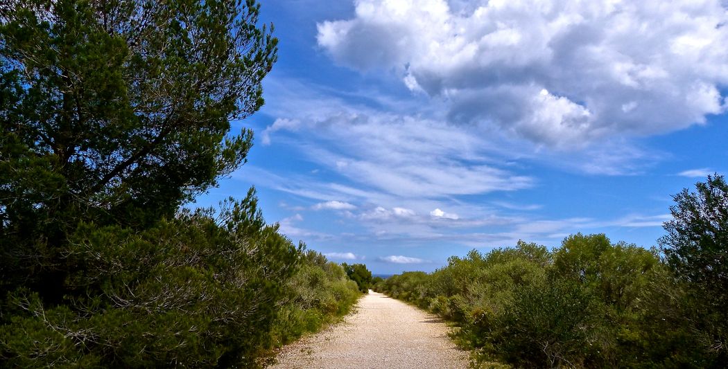 Begleitpersonen können Ihren Urlaub auf der Finca Son Mola Vell mit atemberaubenden Wanderungen verbringen